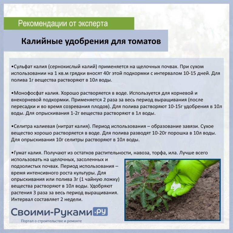 Монофосфат калия для томатов: состав, инструкция по применению удобрения и нормы внесения (115 фото)