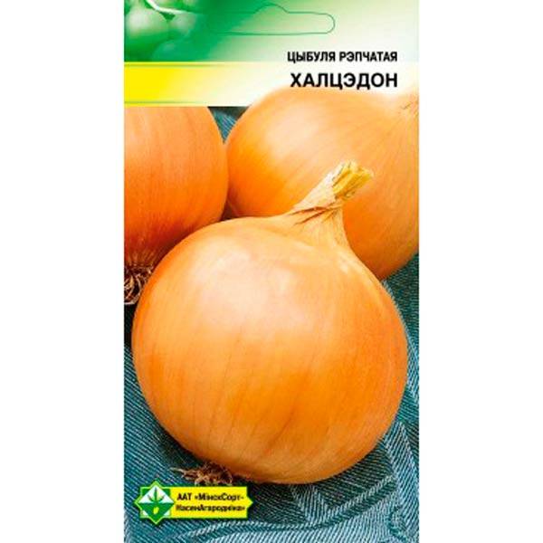 Лук "халцедон": описание сорта, отзывы, выращивание из семян