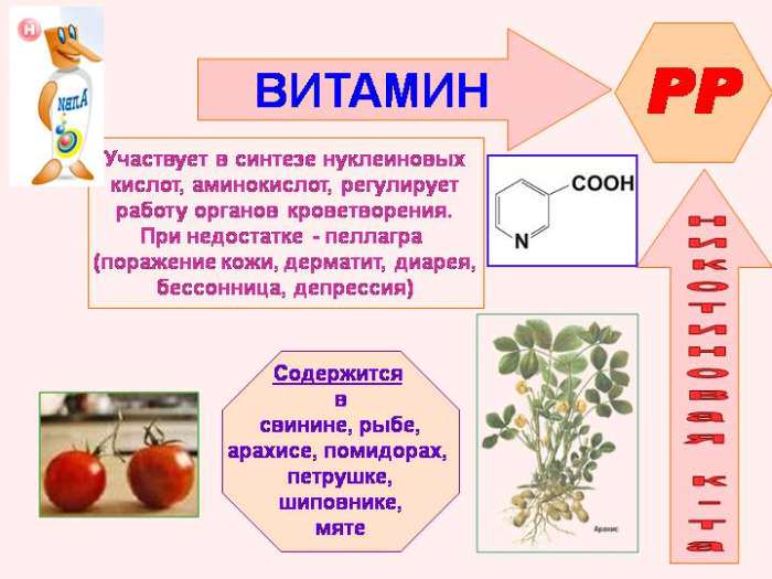 Какие витамины есть в помидорах и в чем их польза для организма