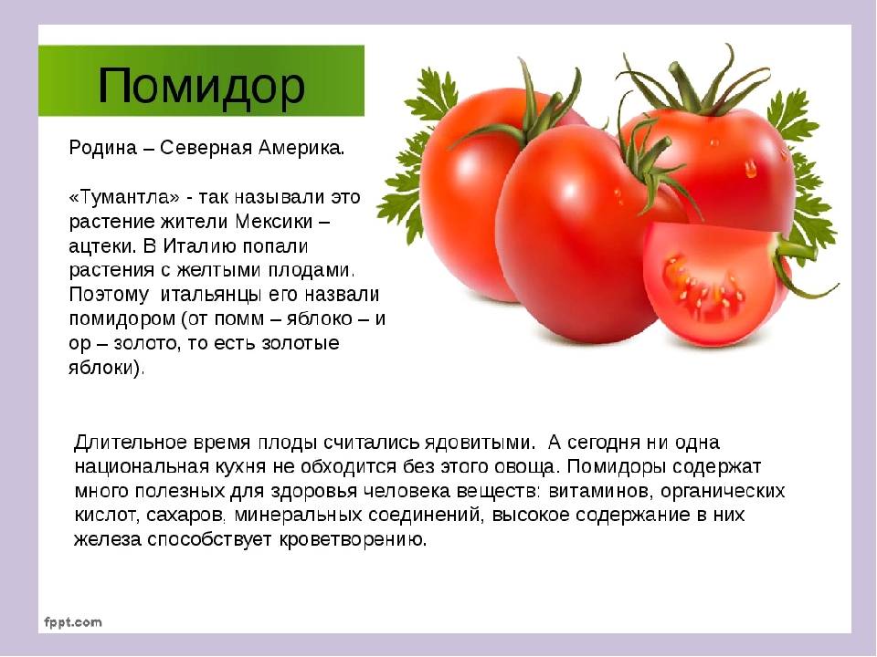 Почему мало томатов