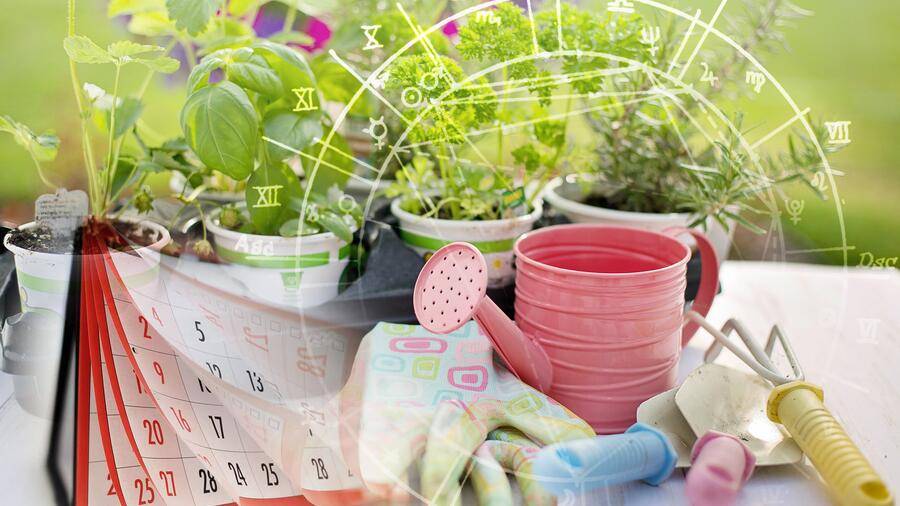 Лунный календарь огородника и садовода на апрель 2021 года
