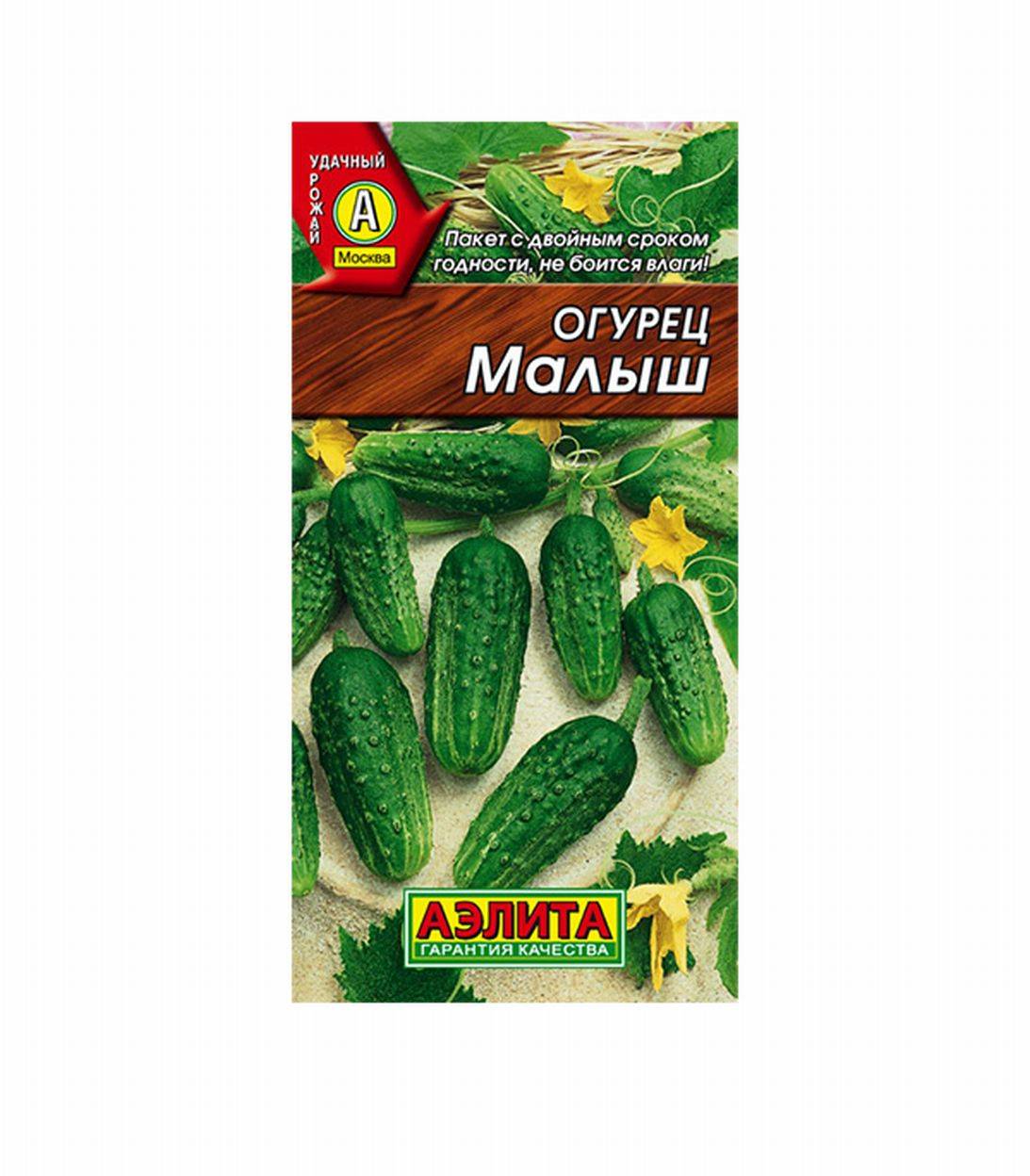 Огурцы малыш описание сорта фото
