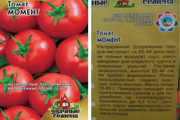 Томат "дубрава": характеристика и описание сорта, отзывы – сад и огород своими руками