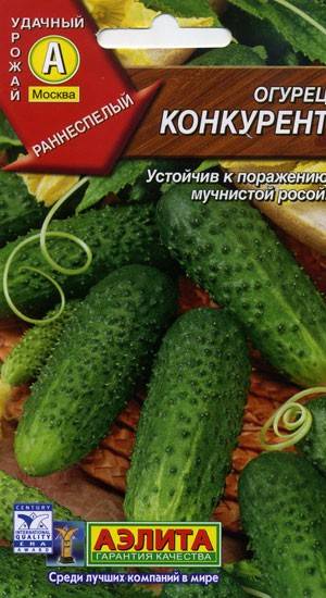 Характеристика и описание огурцов сорта конкурент