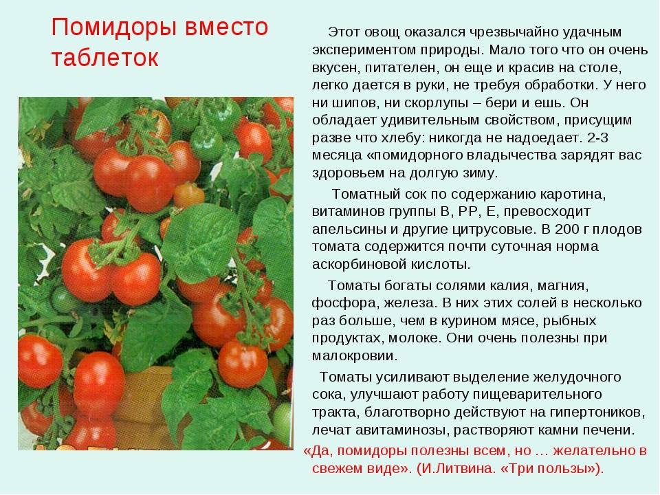 Какие витамины содержатся в помидорах