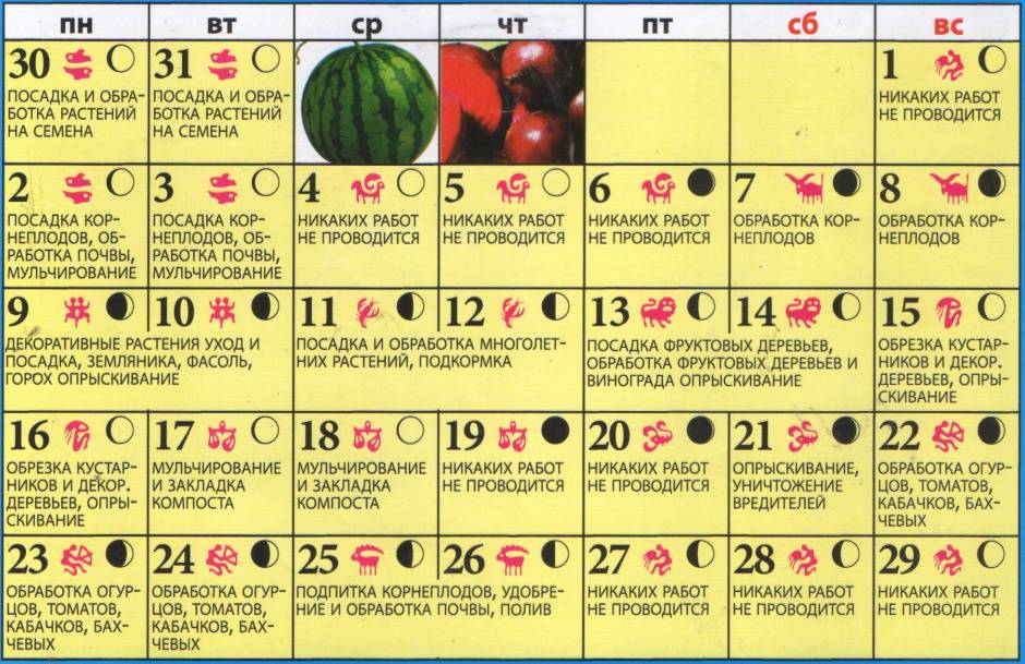 На какую луну сажать помидоры. Лунный календарь. Лунный календарь для посева. Лунный календарь на октябрь. Посевной календарь на октябрь.