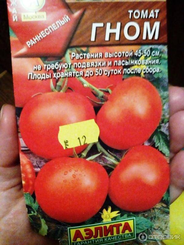 Особенности посадки и выращивания томата гном