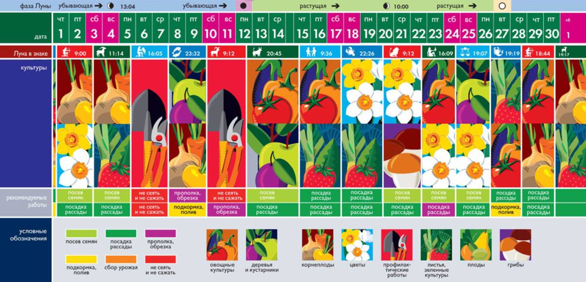 Лунный посевной календарь на март 2021 года садовода и огородника