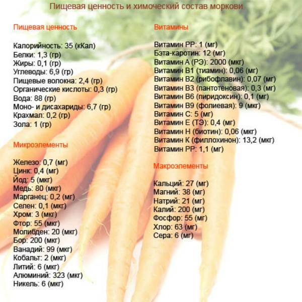 Чем полезна морковь для организма – 10 фактов