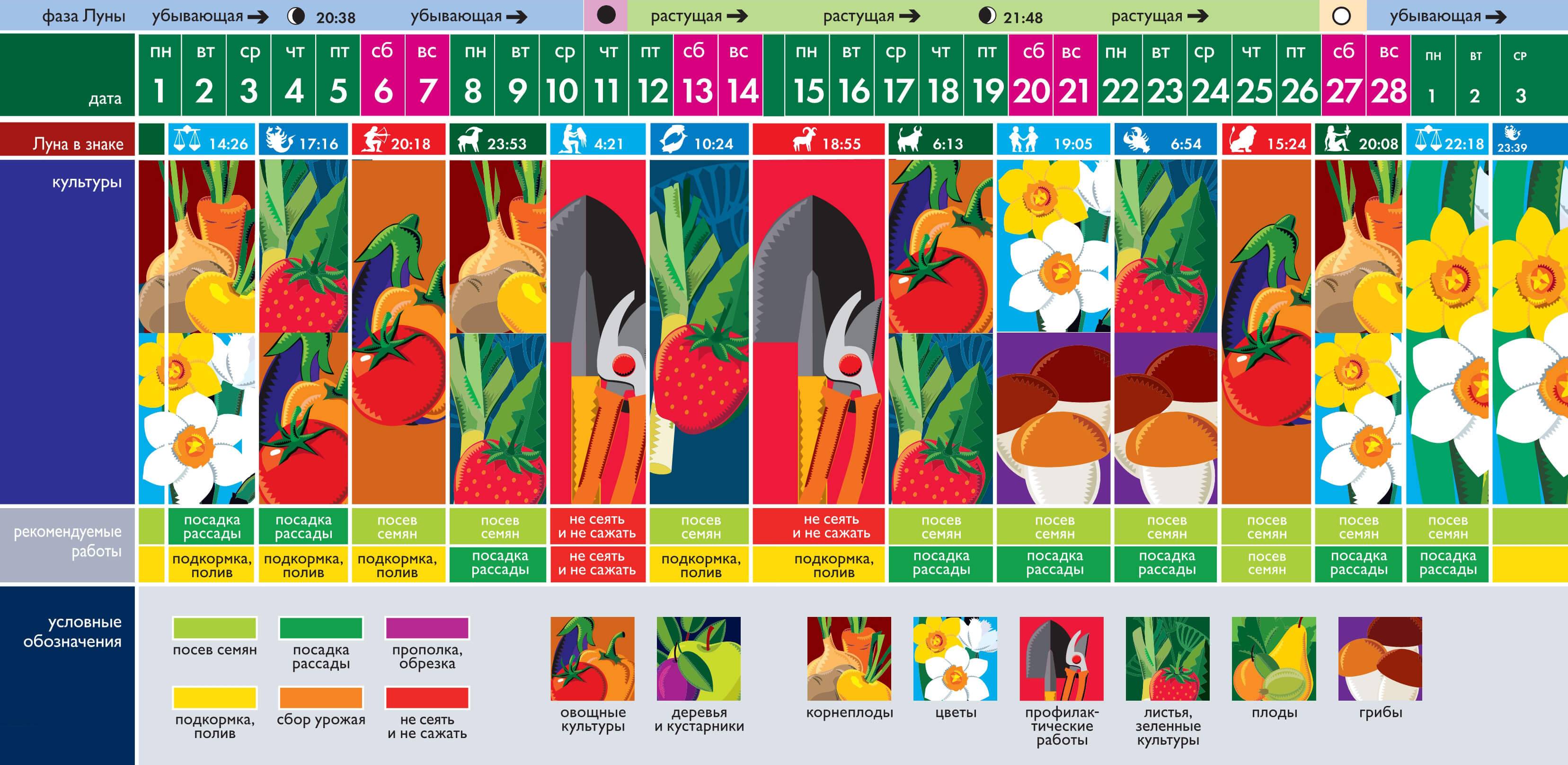 Лунный посевной календарь на 2021 год садовода и огородника по месяцам с фазами луны