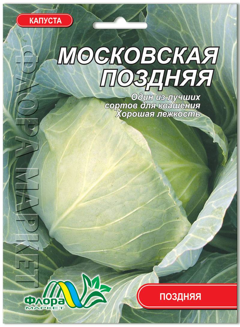 Лучшие сорта поздней капусты для длительного хранения, когда ее сажать на рассаду, фото, отзывы