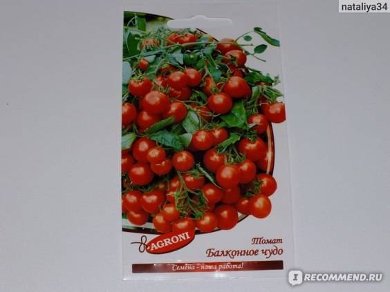 Томат балконное чудо: как выращивать и ухаживать