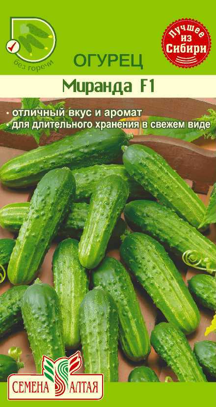 Огурцы миранда: описание сорта, фото, отзывы