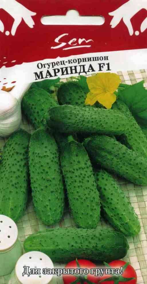 Огурцы семена лучшие самоопыляемые длительного плодоношения