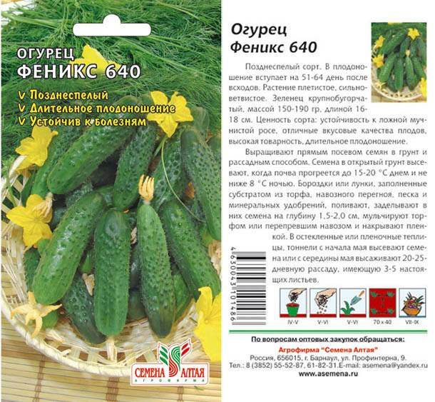Огурец феникс: описание, отзывы, фото, посадка и уход – сад и огород своими руками