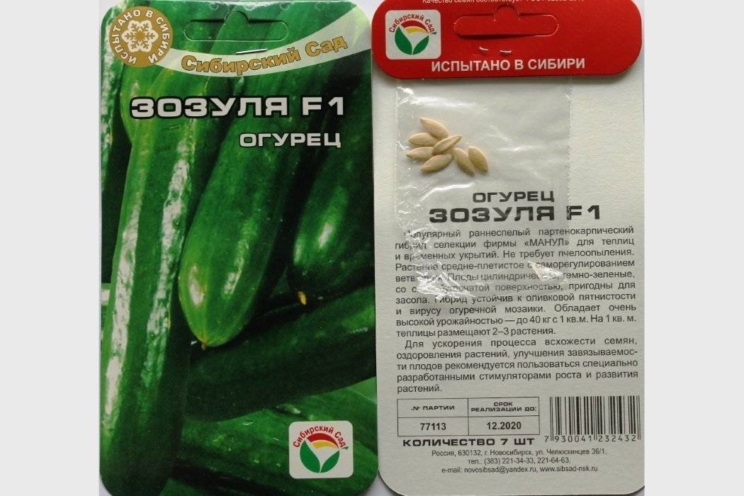 Огурец зозуля f1: описание и характеристика сорта, особенности выращивания, фото, отзывы