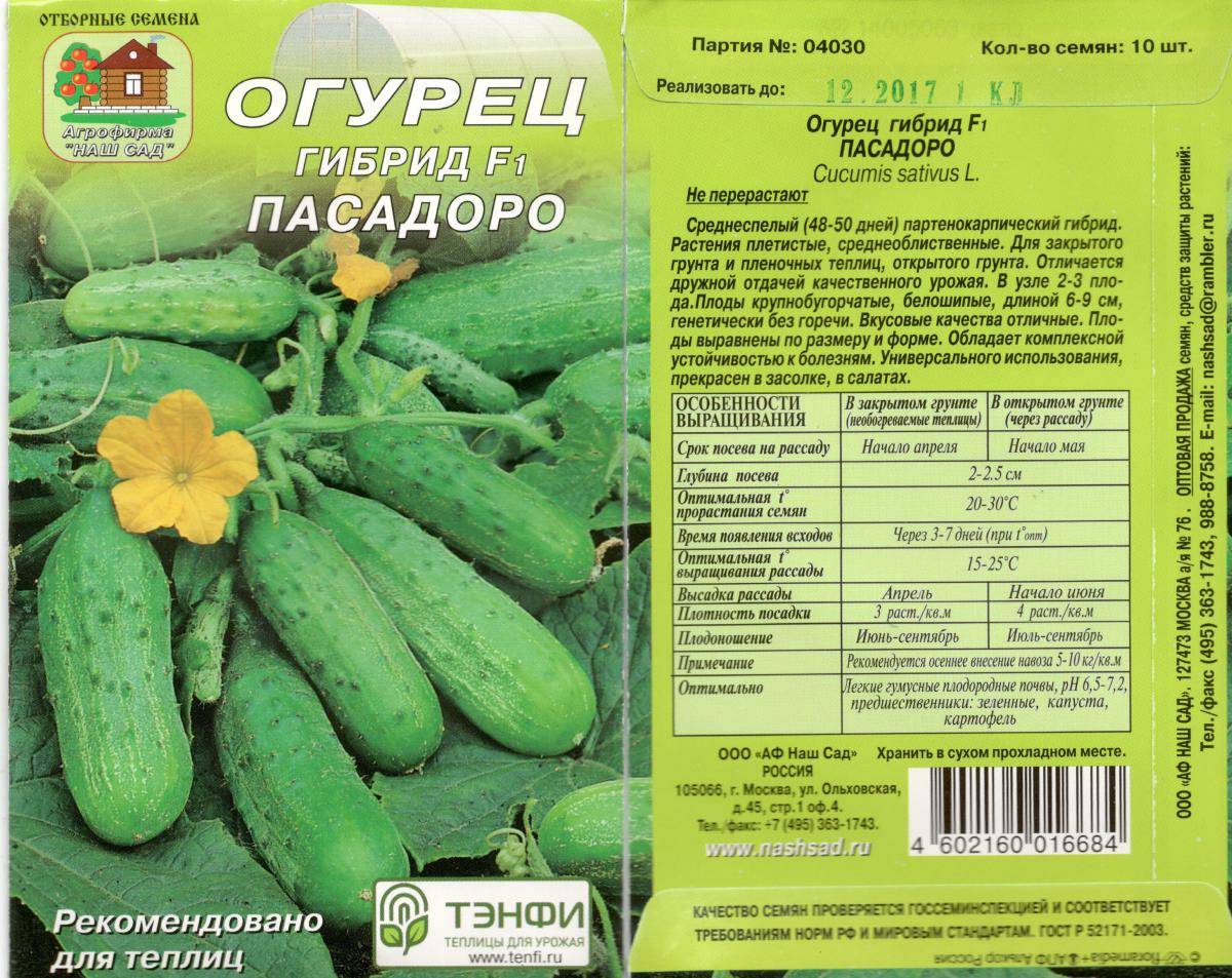 Огурец засолочный: характеристика и описание сорта, фото, отзывы, урожайность