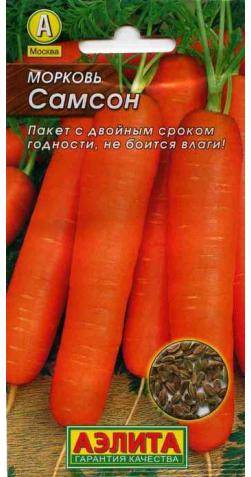 Популярный в россии сорт моркови самсон – характеристика, особенности выращивания