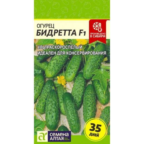Описание сортов огурцов на букву б