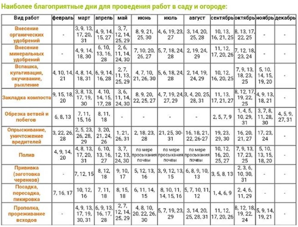 Уборка овощных культур по лунному календарю