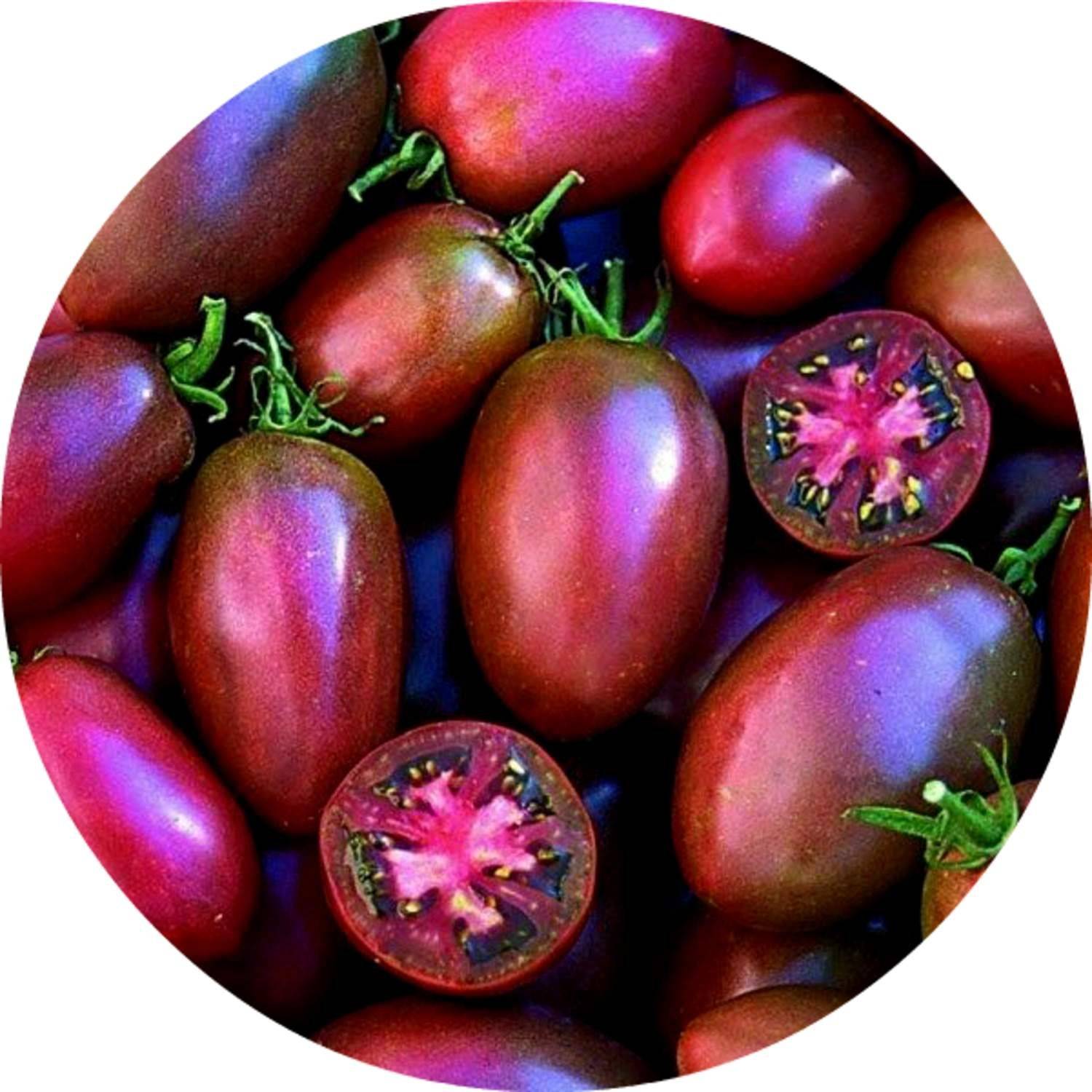 Экзотические томаты. Томат Чероки пурпле. Томат юмбо Пурпл. Томат Чероки фиолетовый. Черри фиолетовый томат семена.