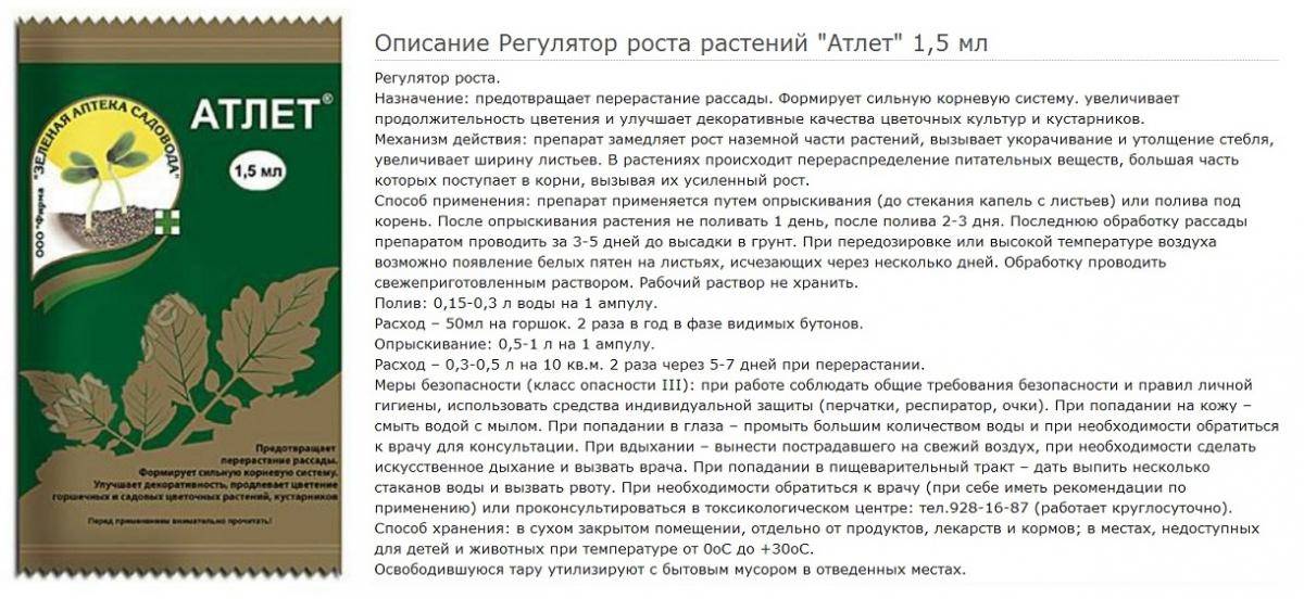 Препарат "атлет": для рассады: инструкция, отзывы, описание