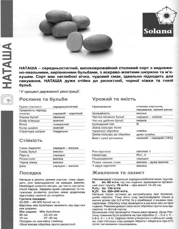 Сорт картофеля наташа: описание и характеристика, отзывы