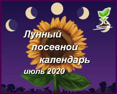 Лунный календарь огородника и садовода на июль 2021 года. благоприятные дни для посадки растений в июле 2021 — мир космоса
