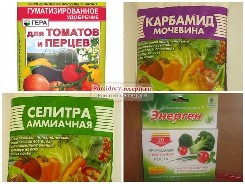 Правильные подкормки томатов