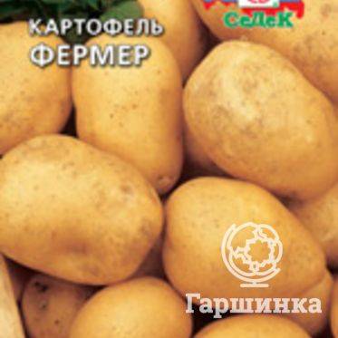 Картофель чародей: характеристика и описание сорта, фото картошки чародейка, вкусовые качества и особенности выращивания, отзывы