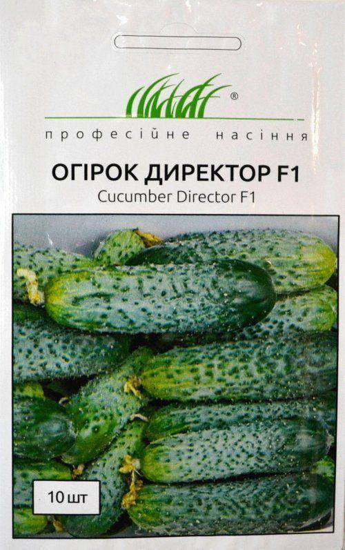 Описание голландского огурца сорта директор и его выращивание