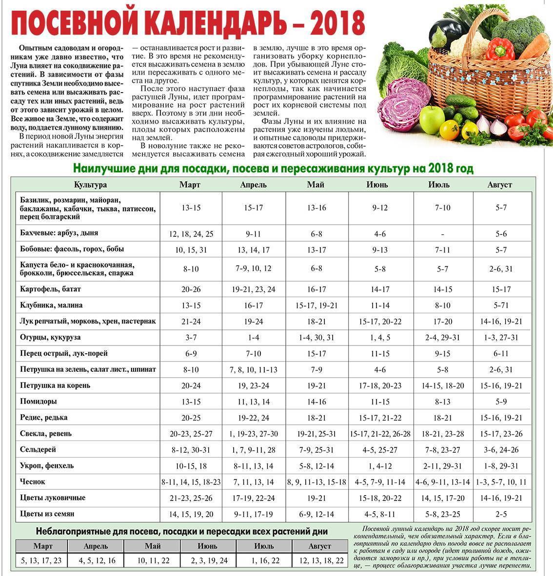 Когда лучше высаживать морковь по лунному календарю в 2020 году
