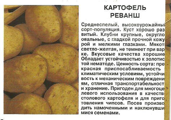 Картофель уладар: характеристика, вкусовые качества, отзывы