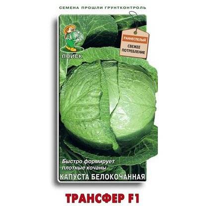 Капуста трансфер f1: описание сорта, отзывы, урожайность, фото