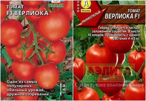 Томат верлиока: описание, отзывы, фото, урожайность | tomatland.ru