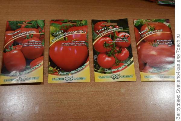 Лучшие сорта помидор на 2021 год: самые урожайные и вкусные томаты для теплиц, открытого грунта