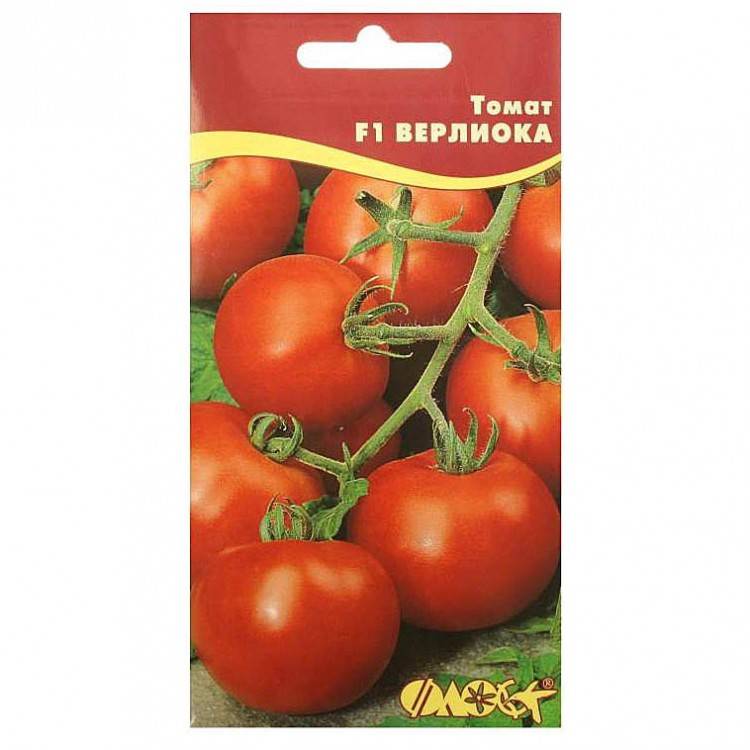Описание и особенности выращивания томата верлиока