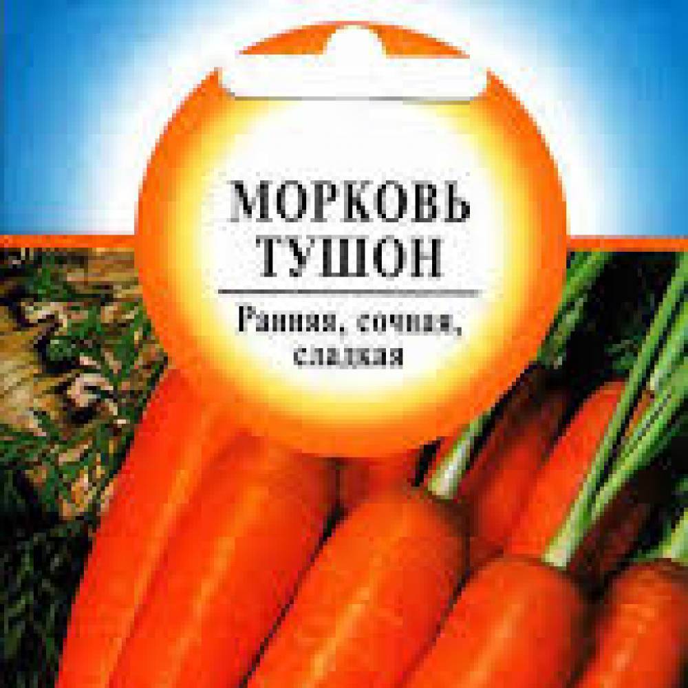 Тушон морковь описание. Морковь сорт Тушон. Гавриш удачные семена морковь Тушон. Семена. Морковь "Тушон".