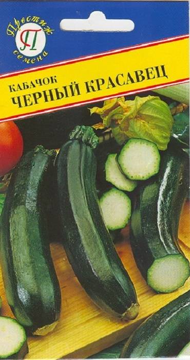Сорта кабачков – как выбрать тот, что подойдет вам?
