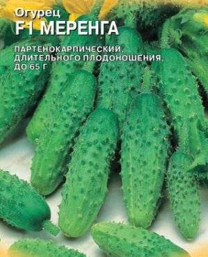 Огурец миранда описание сорта фото