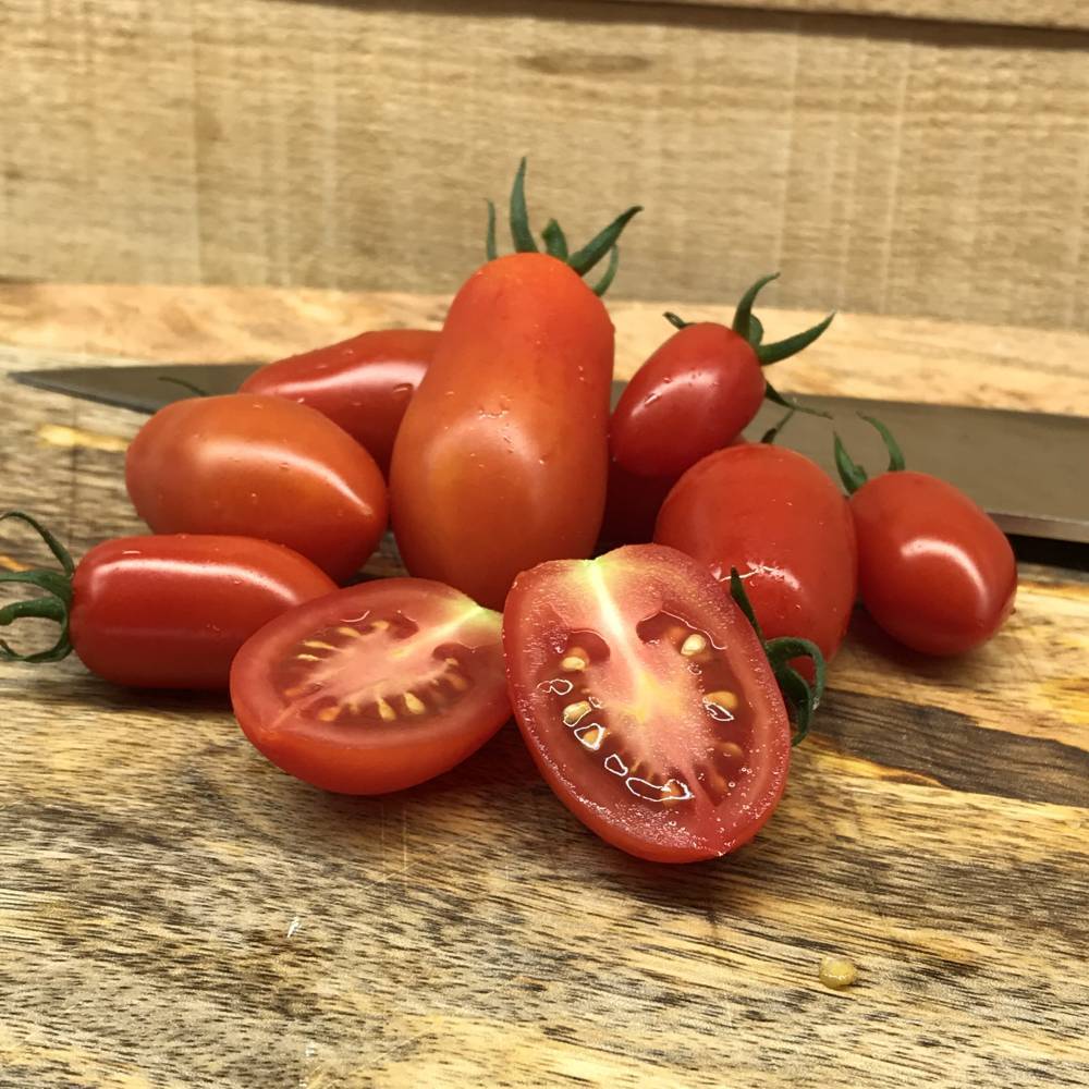 Лучшие сорта томатов на 2021 год: урожайные и устойчивые к болезням наименования с описанием и фото