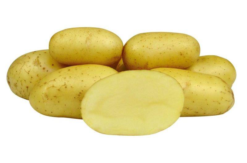 Картошка Лимонка Описание Сорта Фото Отзывы
