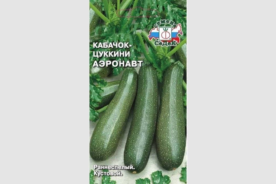 19 самых лучших сортов кабачков: описание | (фото) +отзывы