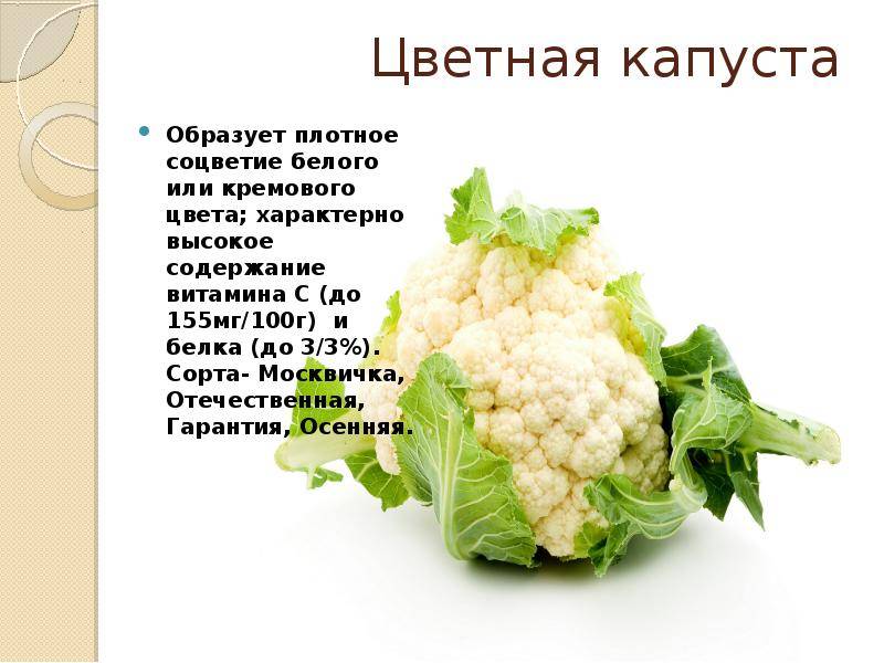 Чем полезна цветная капуста