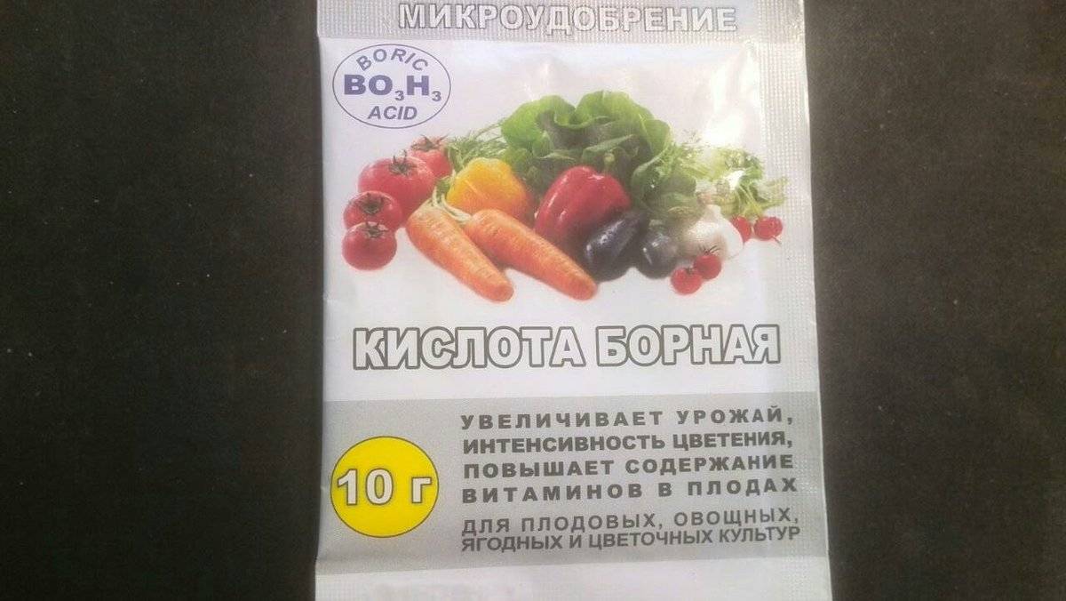 Применение борной кислоты для томатов во время цветения. так ли это необходимо?
