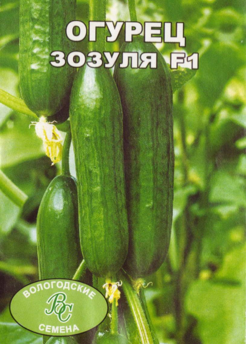 Огурец зозуля - характеристика и описание сорта