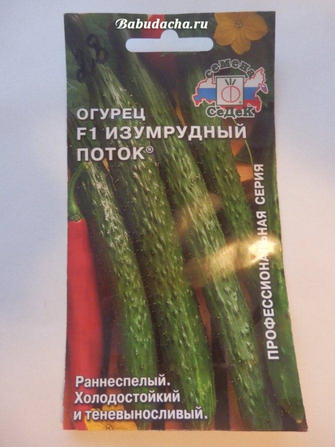 Сорта огурцов изумрудный поток | огородовед