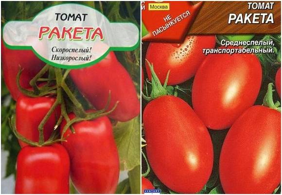 Томат ракета: отзывы, фото, урожайность