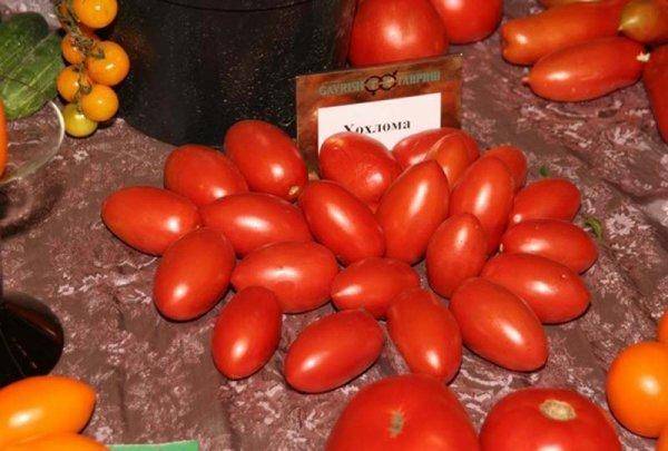 Томат хохлома: описание сорта, характеристика, отзывы об урожайности, фото - все о помидорках