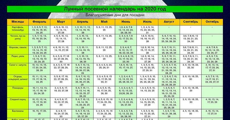 Благоприятные дни для посадки чеснока в октябре 2018 года по лунному календарю помогут огородникам летом собрать хороший урожай